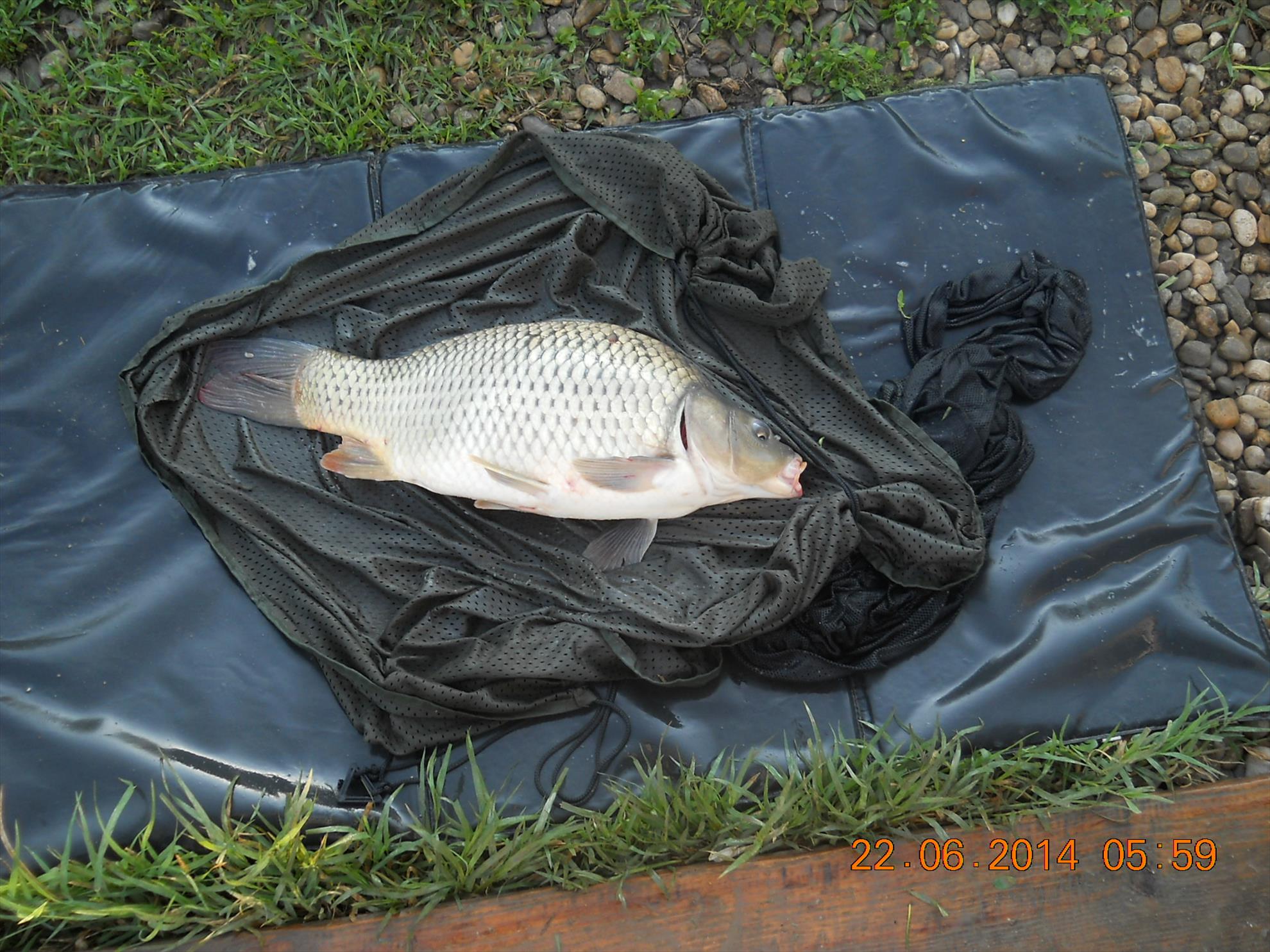 pescuit Magura 9 - dscn9572.jpg